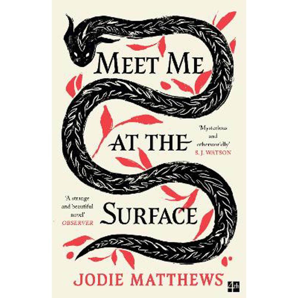 Meet Me at the Surface (Paperback) - Jodie Matthews